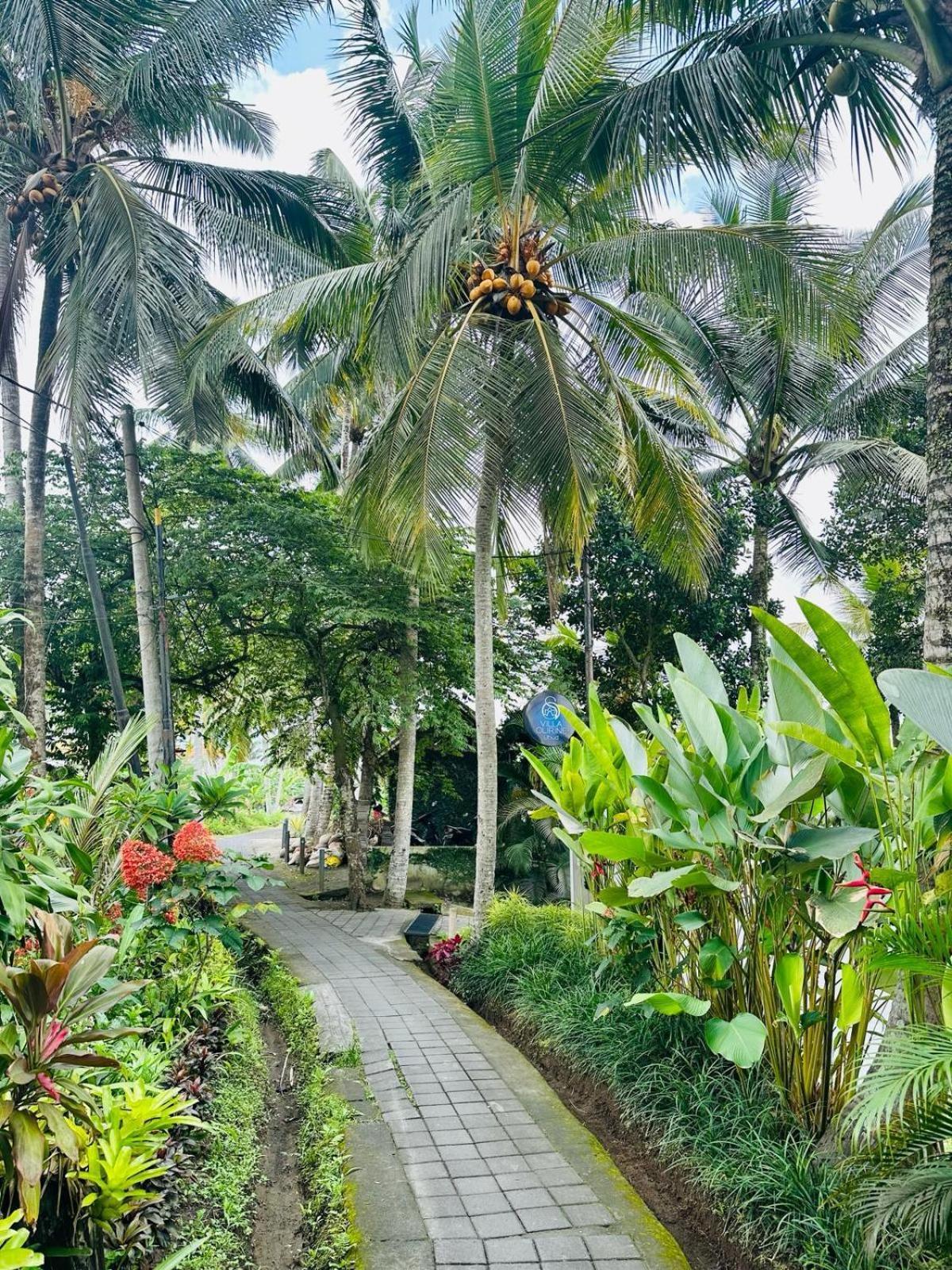 Villa Olirine By Balisuperhost Ubud Eksteriør billede