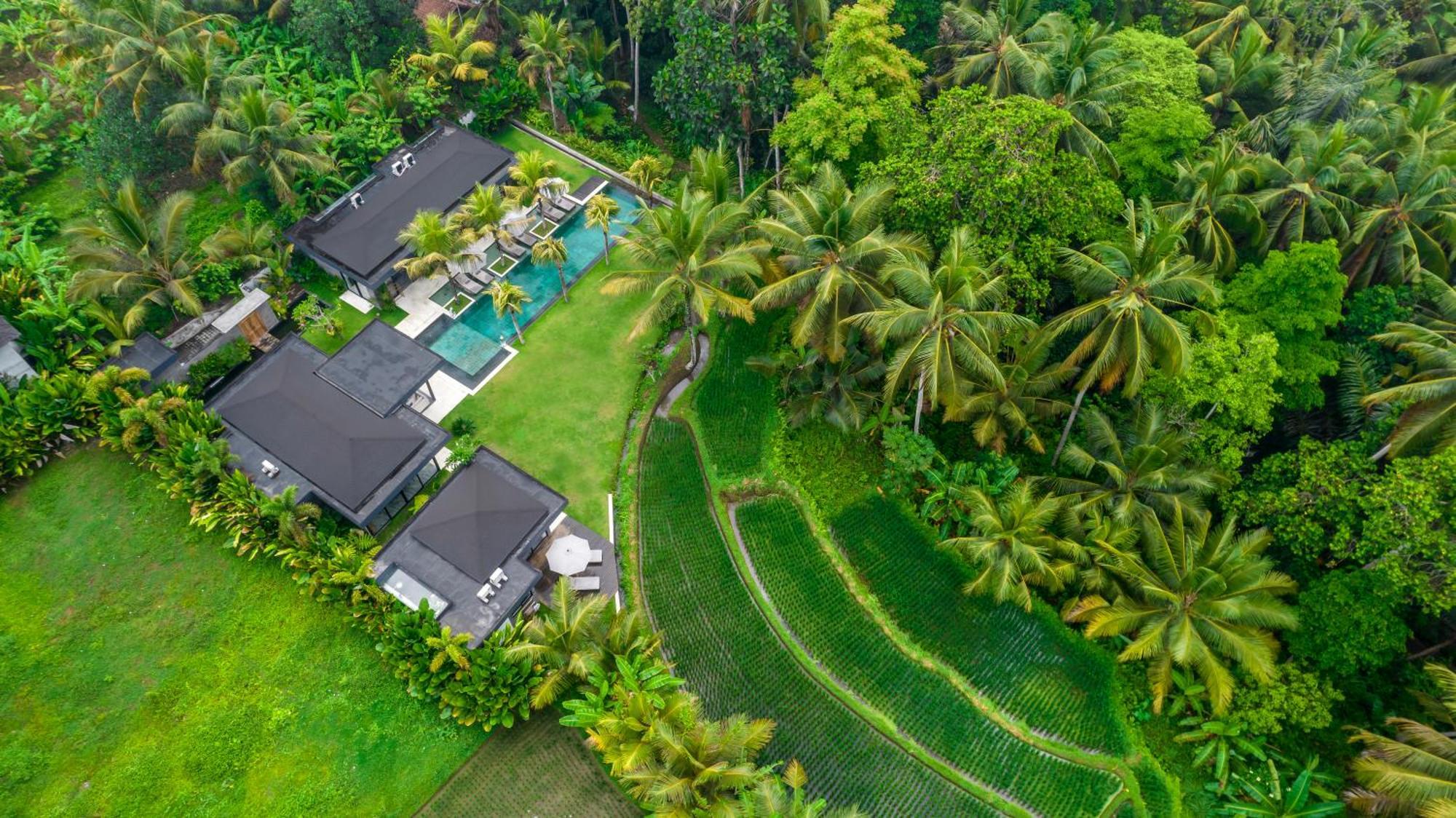 Villa Olirine By Balisuperhost Ubud Eksteriør billede